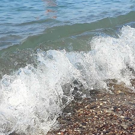 Suncani Apartman 1-Vila Amfora Budva Exteriér fotografie